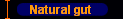 Natural gut